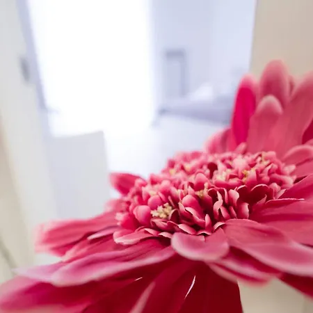 Casa Viviana - Policlinico