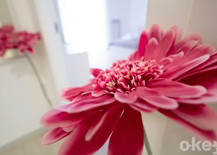 Casa de hóspedes Casa Viviana - Policlinico